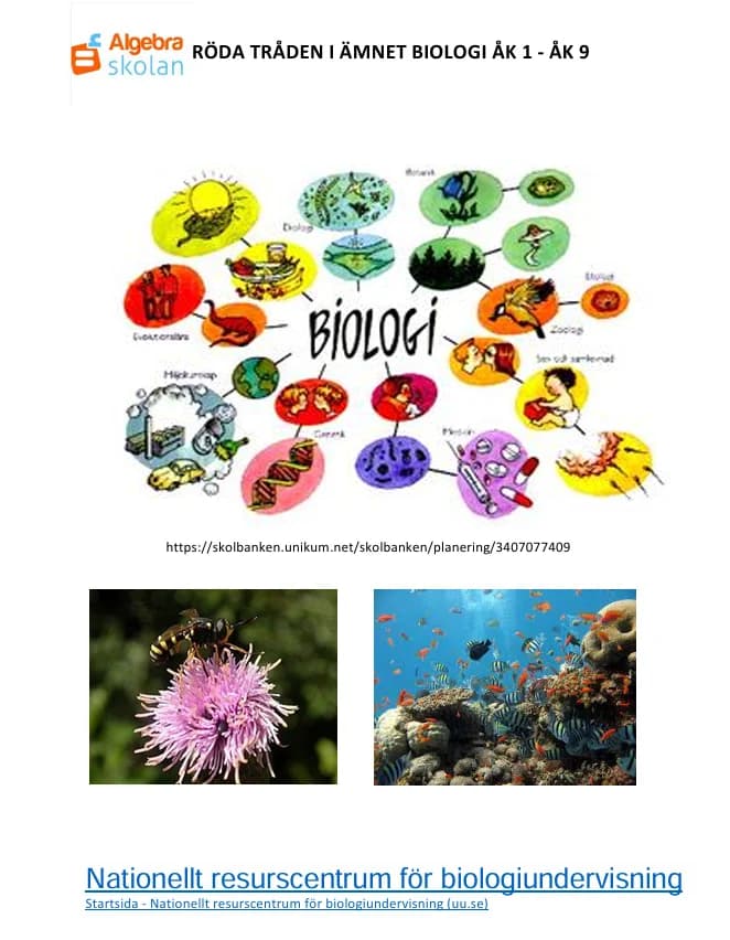 Röda tråden - Sammanhållen lärandeplan